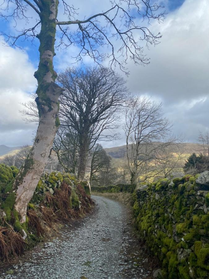 Ivy Bank Guest House Windermere Buitenkant foto