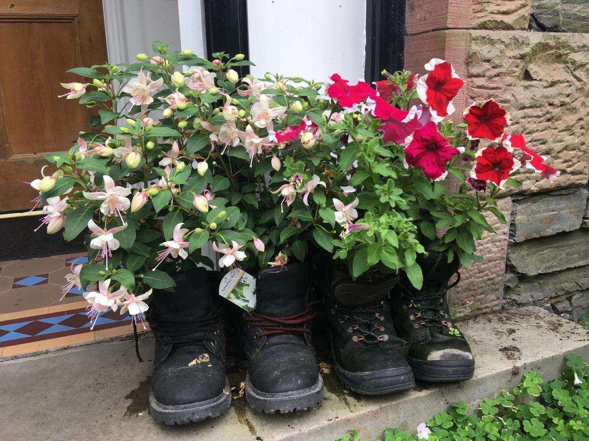 Ivy Bank Guest House Windermere Buitenkant foto